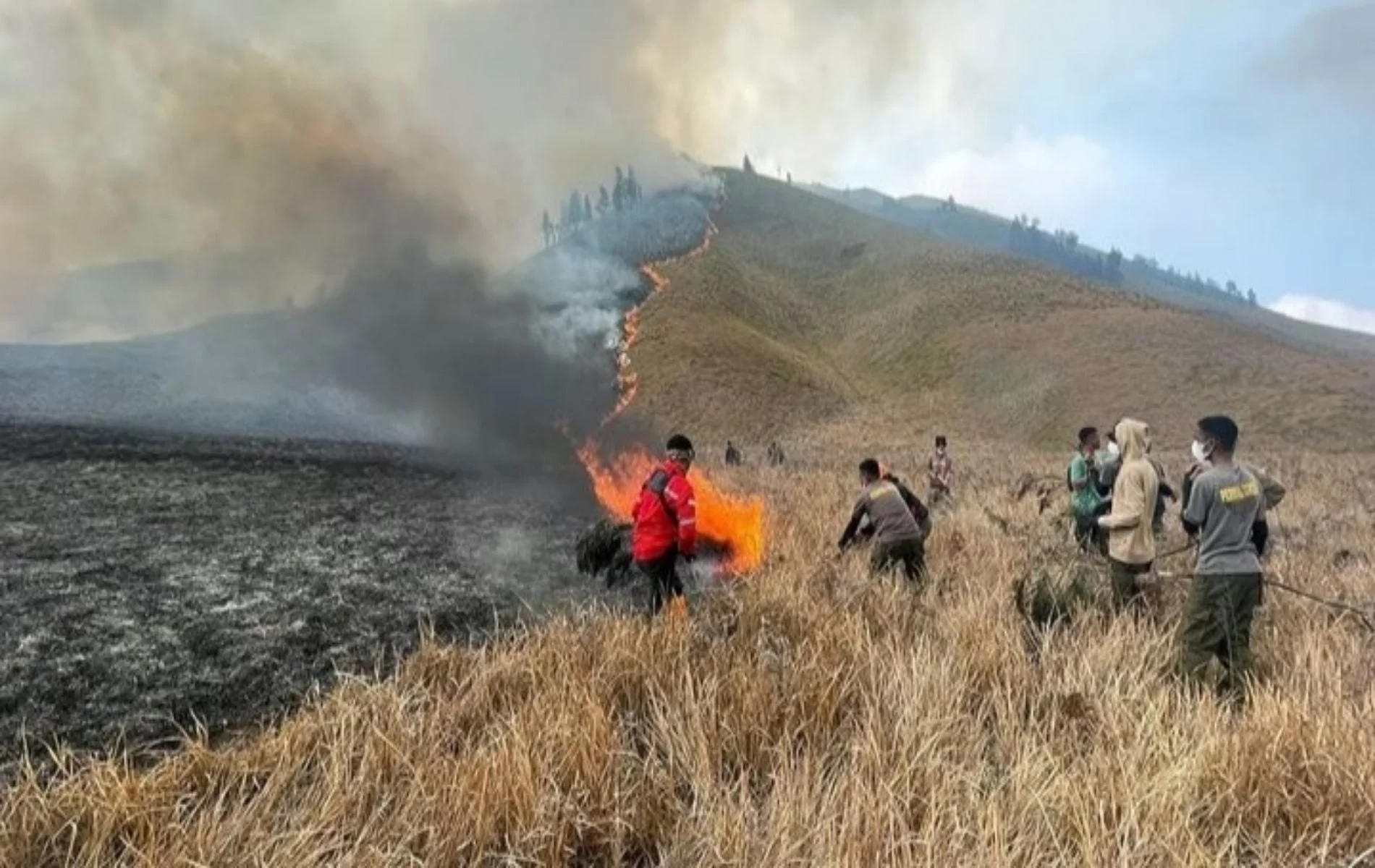 Dampak Karhutla, Kawasan Gunung Bromo Ditutup Sementara untuk Jaga Keselamatan Warga dan Wisatawan
